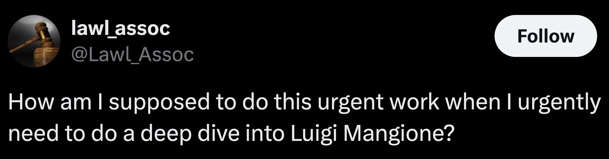 swan - lawl_assoc How am I supposed to do this urgent work when I urgently need to do a deep dive into Luigi Mangione?